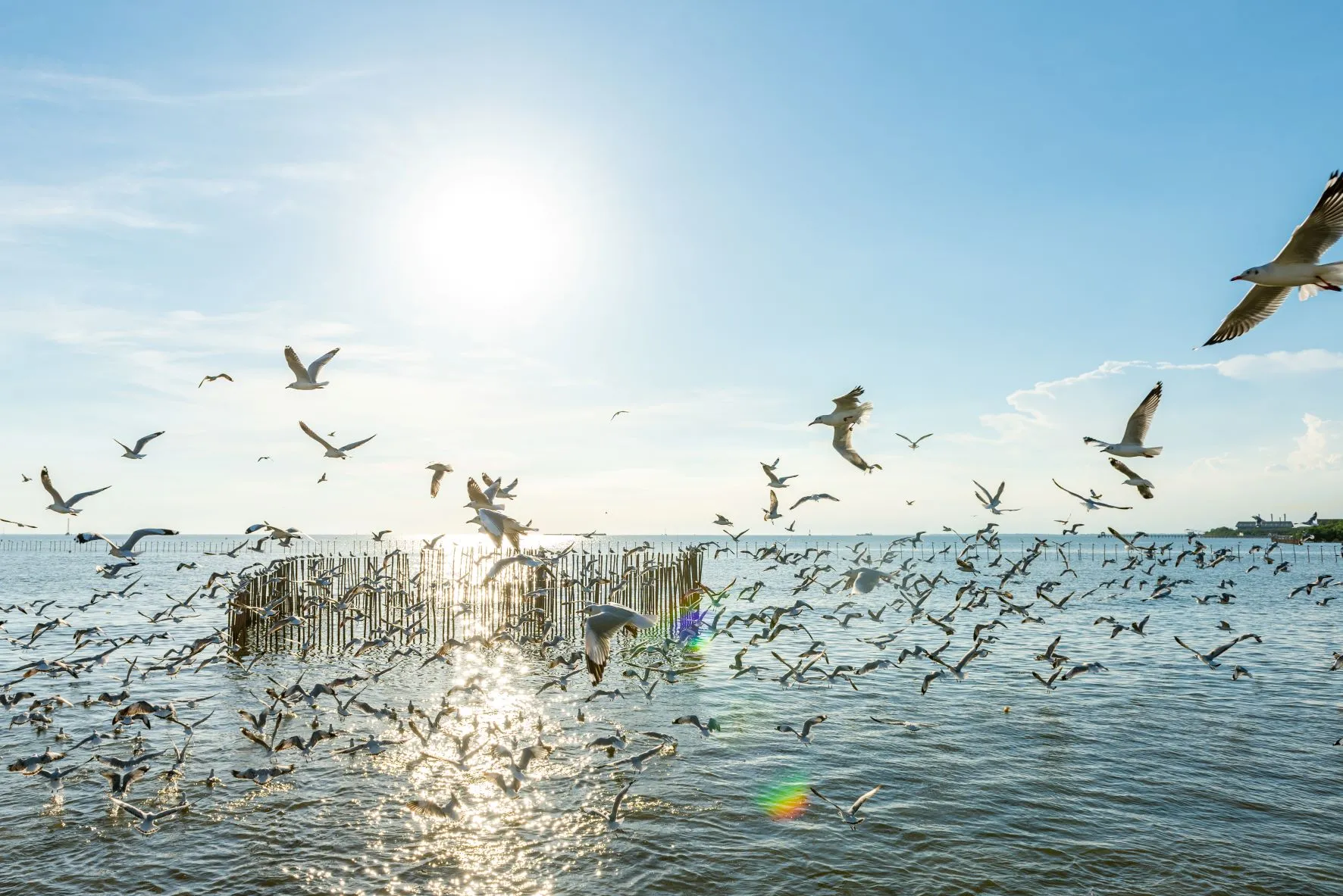 ที่เที่ยวสมุทรปราการ สถานตากอากาศบางปู