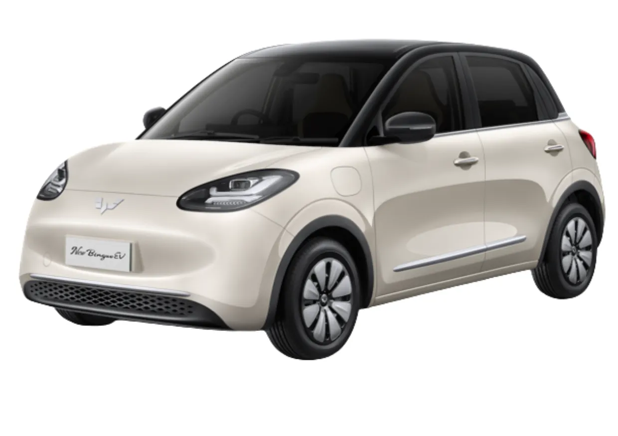 Wuling Binguo EV