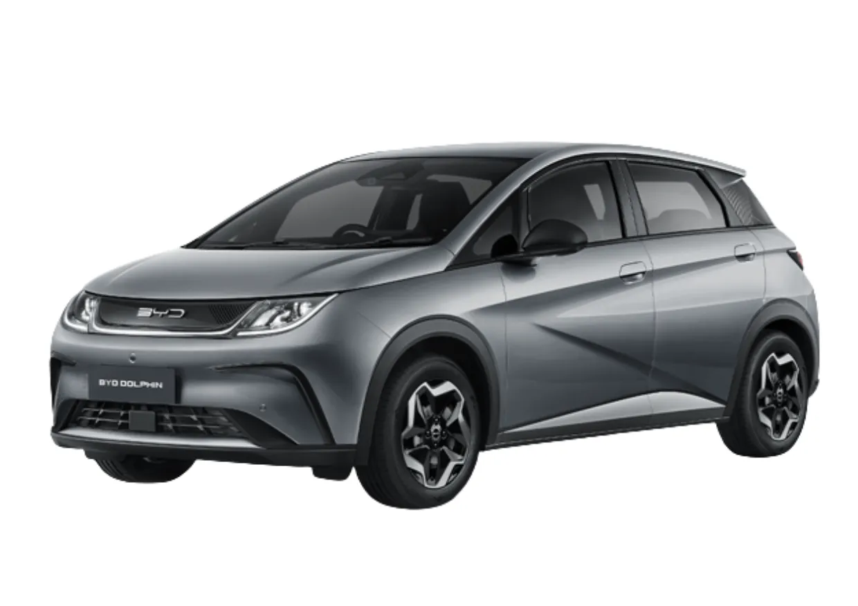 6. BYD Dolphin